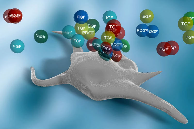 Platelet-Rich Fibrin in 